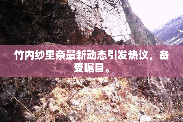 竹内纱里奈最新动态引发热议，备受瞩目。