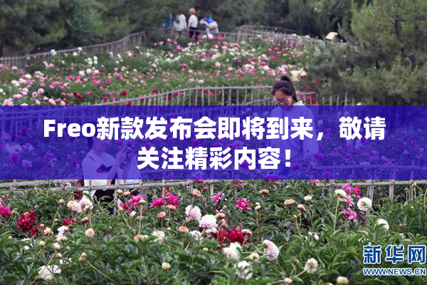 Freo新款发布会即将到来，敬请关注精彩内容！
