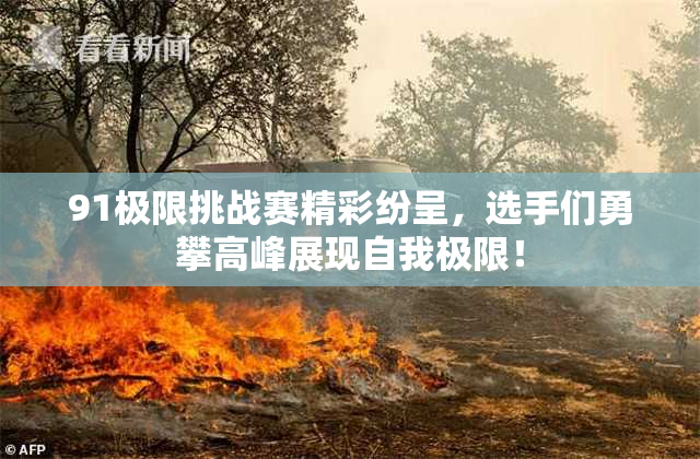 91极限挑战赛精彩纷呈，选手们勇攀高峰展现自我极限！