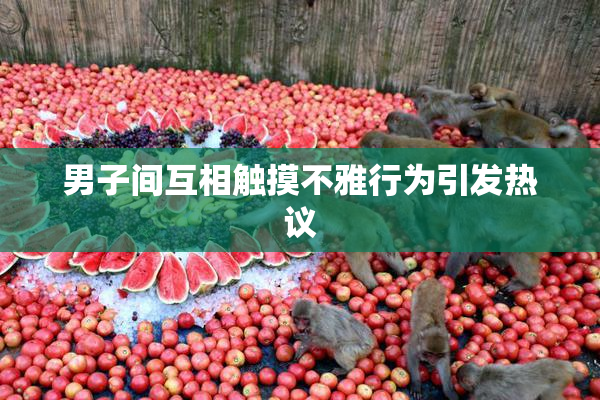 男子间互相触摸不雅行为引发热议