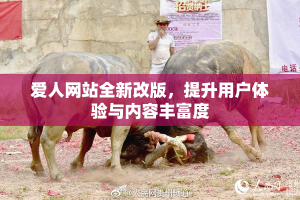 爱人网站全新改版，提升用户体验与内容丰富度