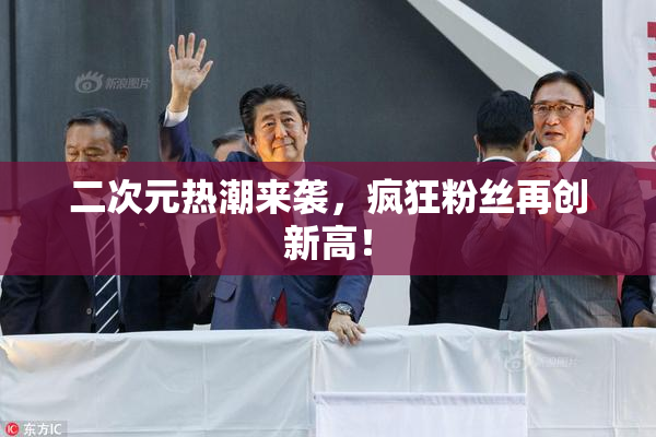 二次元热潮来袭，疯狂粉丝再创新高！