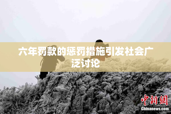 六年罚款的惩罚措施引发社会广泛讨论