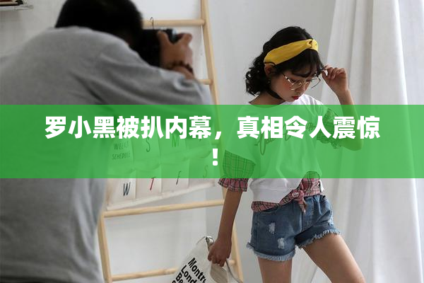 罗小黑被扒内幕，真相令人震惊！