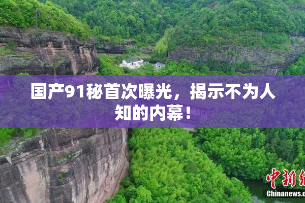 国产91秘首次曝光，揭示不为人知的内幕！