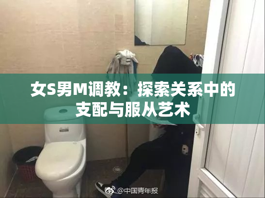 女S男M调教：探索关系中的支配与服从艺术