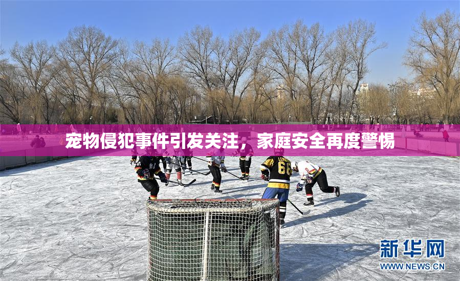 宠物侵犯事件引发关注，家庭安全再度警惕