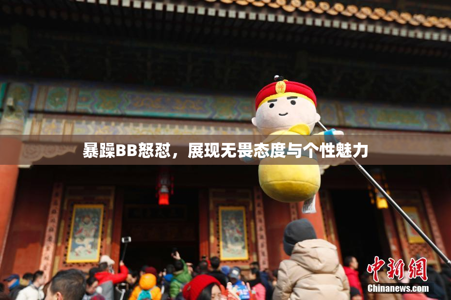 暴躁BB怒怼，展现无畏态度与个性魅力