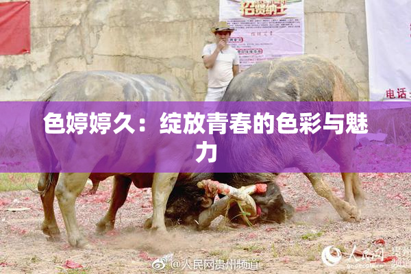 色婷婷久：绽放青春的色彩与魅力