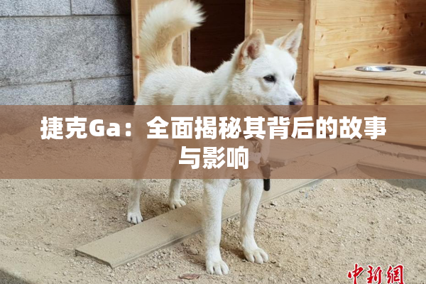 捷克Ga：全面揭秘其背后的故事与影响