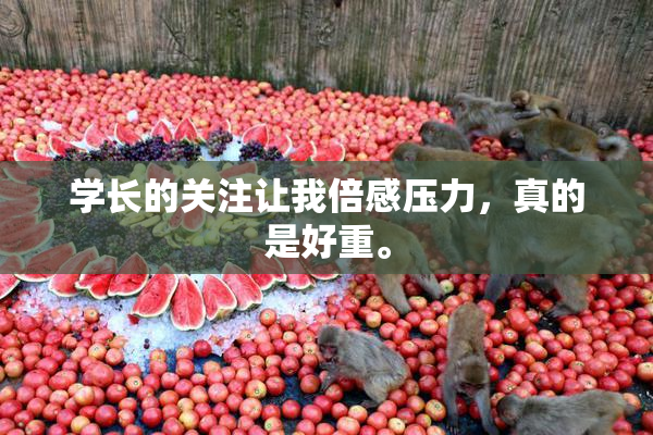学长的关注让我倍感压力，真的是好重。