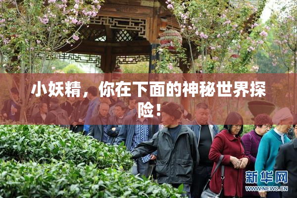 小妖精，你在下面的神秘世界探险！