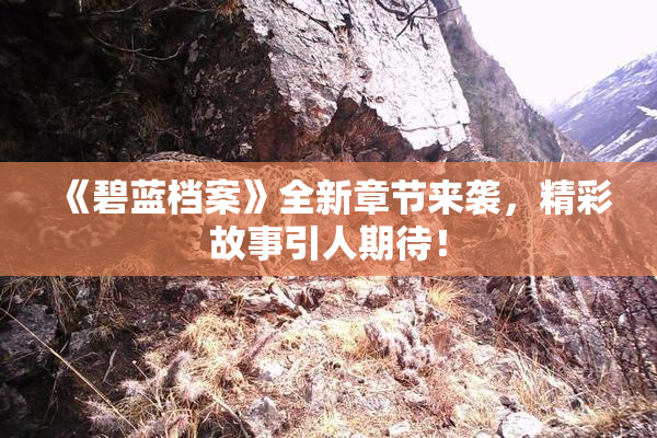 《碧蓝档案》全新章节来袭，精彩故事引人期待！