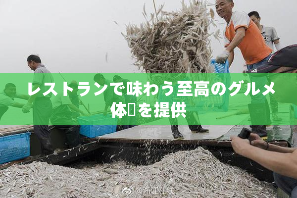 レストランで味わう至高のグルメ体験を提供