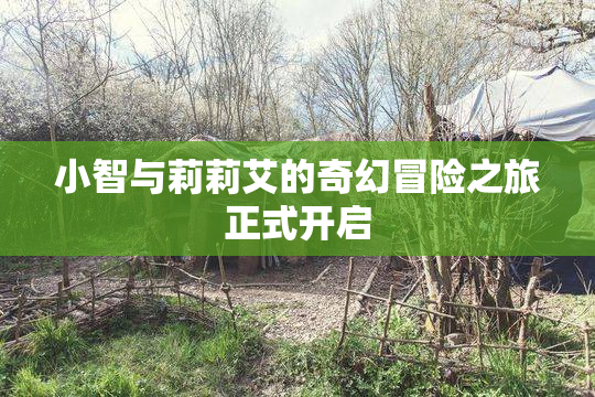 小智与莉莉艾的奇幻冒险之旅正式开启