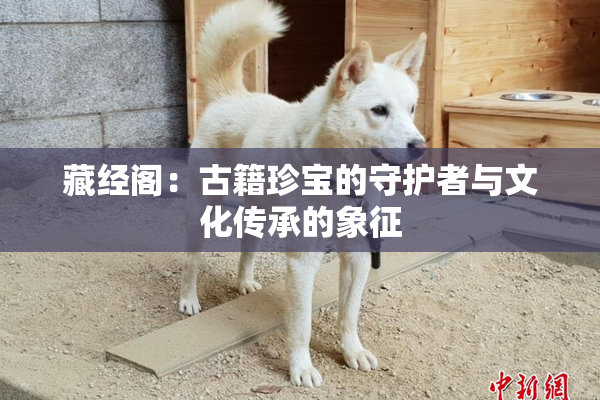 藏经阁：古籍珍宝的守护者与文化传承的象征