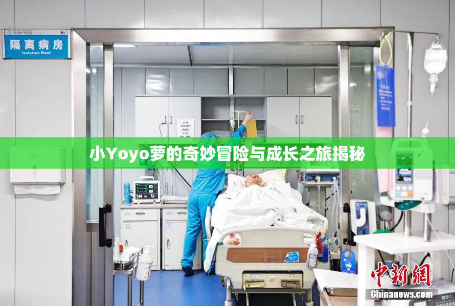 小Yoyo萝的奇妙冒险与成长之旅揭秘