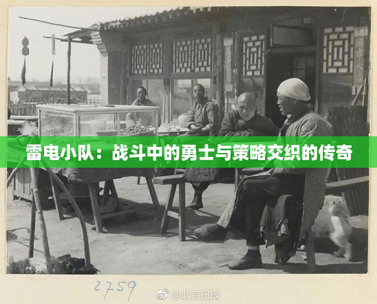 雷电小队：战斗中的勇士与策略交织的传奇