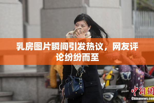 乳房图片瞬间引发热议，网友评论纷纷而至