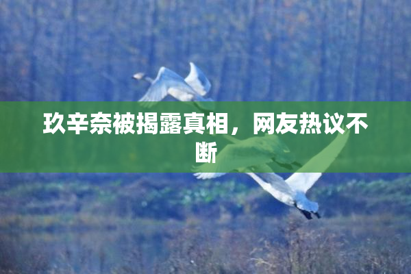 玖辛奈被揭露真相，网友热议不断