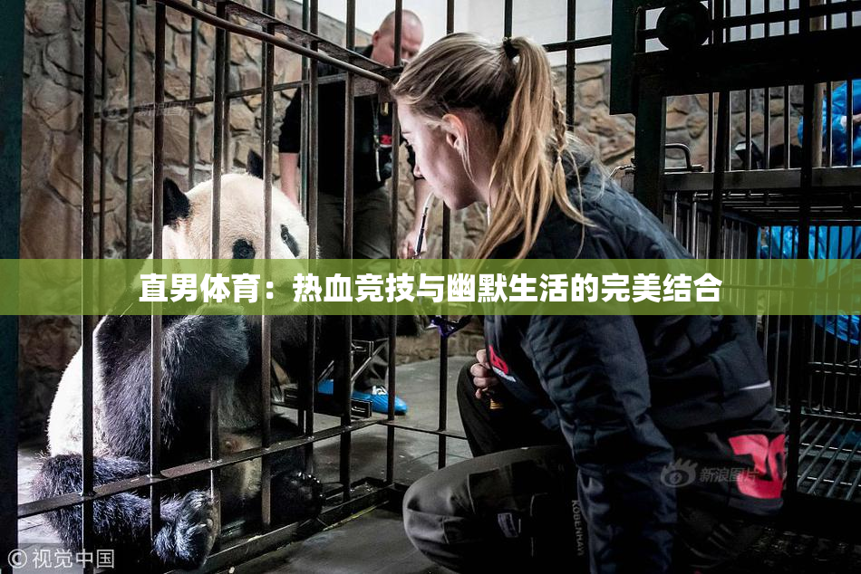 直男体育：热血竞技与幽默生活的完美结合
