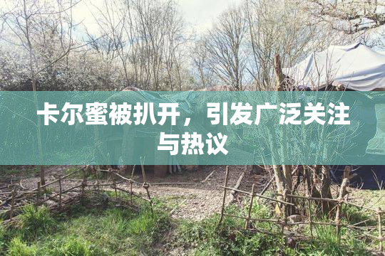 卡尔蜜被扒开，引发广泛关注与热议