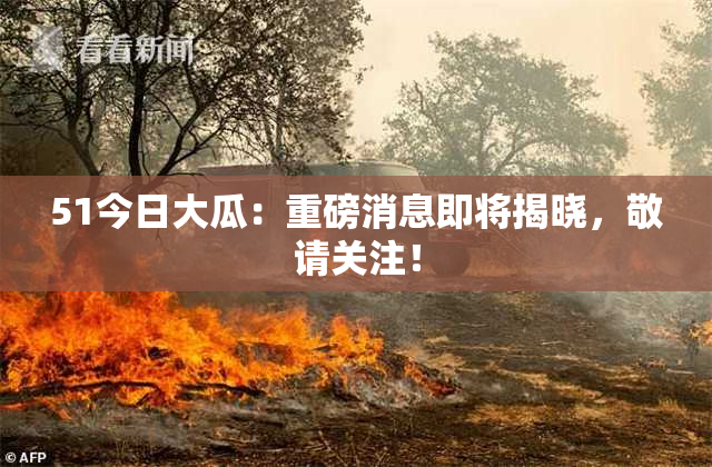 51今日大瓜：重磅消息即将揭晓，敬请关注！