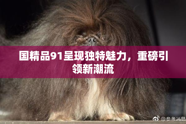 国精品91呈现独特魅力，重磅引领新潮流