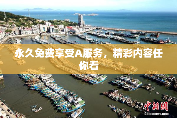 永久免费享受A服务，精彩内容任你看