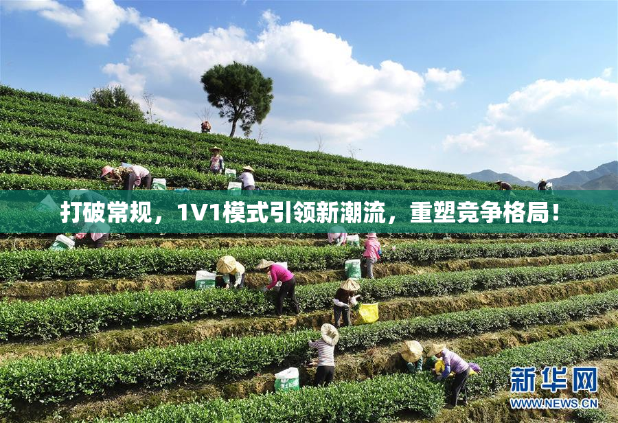 打破常规，1V1模式引领新潮流，重塑竞争格局！