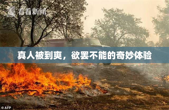 真人被到爽，欲罢不能的奇妙体验