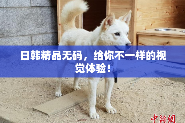 日韩精品无码，给你不一样的视觉体验！