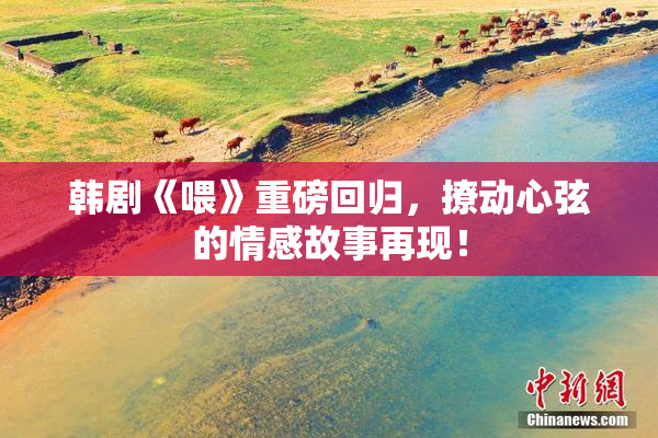 韩剧《喂》重磅回归，撩动心弦的情感故事再现！