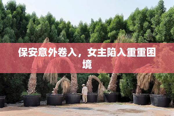保安意外卷入，女主陷入重重困境