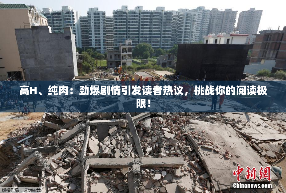 高H、纯肉：劲爆剧情引发读者热议，挑战你的阅读极限！