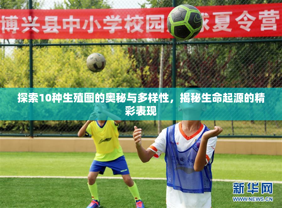 探索10种生殖图的奥秘与多样性，揭秘生命起源的精彩表现
