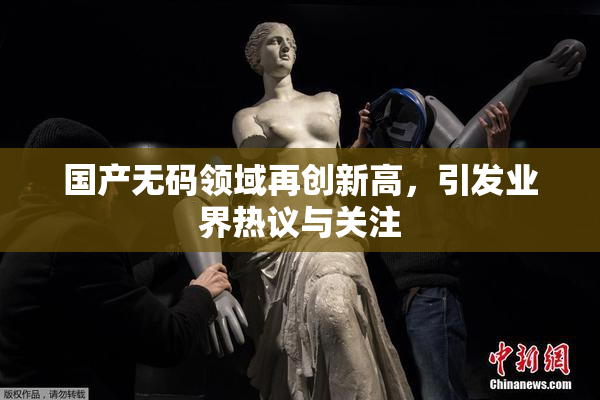 国产无码领域再创新高，引发业界热议与关注