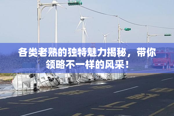各类老熟的独特魅力揭秘，带你领略不一样的风采！