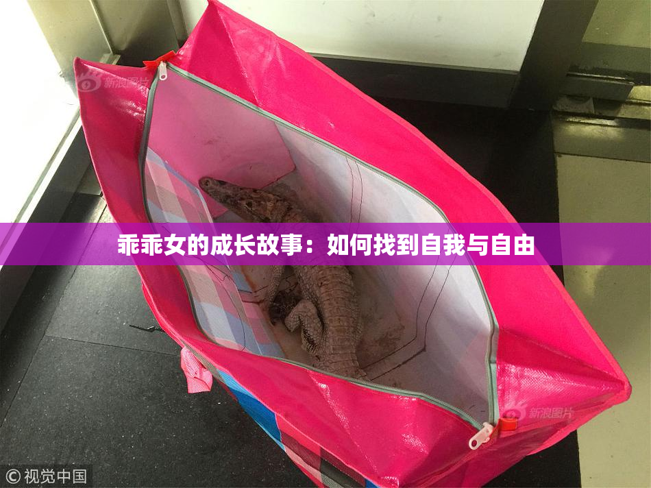乖乖女的成长故事：如何找到自我与自由