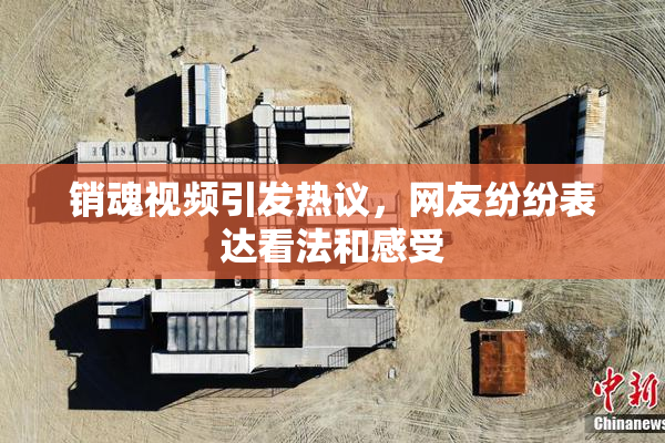 销魂视频引发热议，网友纷纷表达看法和感受