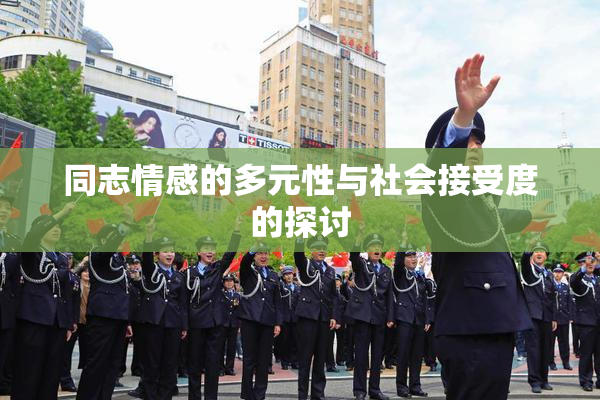 同志情感的多元性与社会接受度的探讨