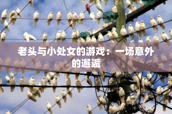 老头与小处女的游戏：一场意外的邂逅