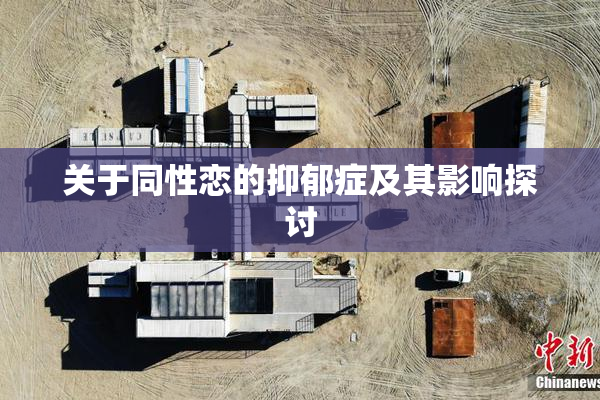 关于同性恋的抑郁症及其影响探讨