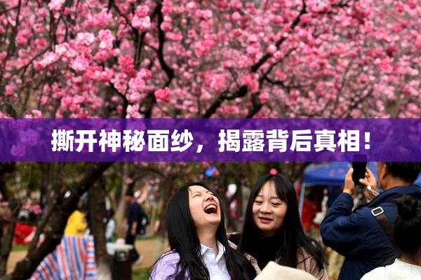 撕开神秘面纱，揭露背后真相！