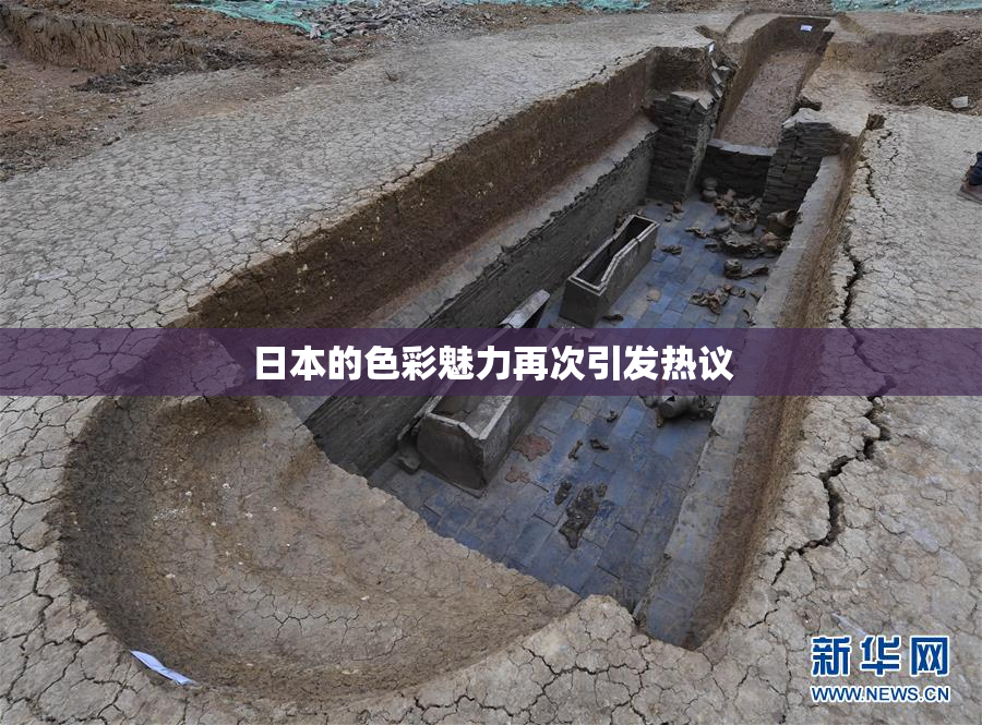 日本的色彩魅力再次引发热议