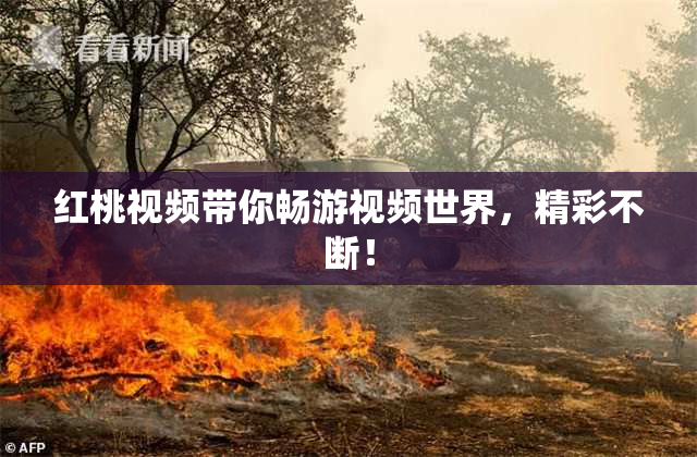 红桃视频带你畅游视频世界，精彩不断！