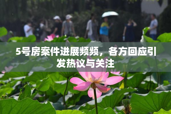 5号房案件进展频频，各方回应引发热议与关注