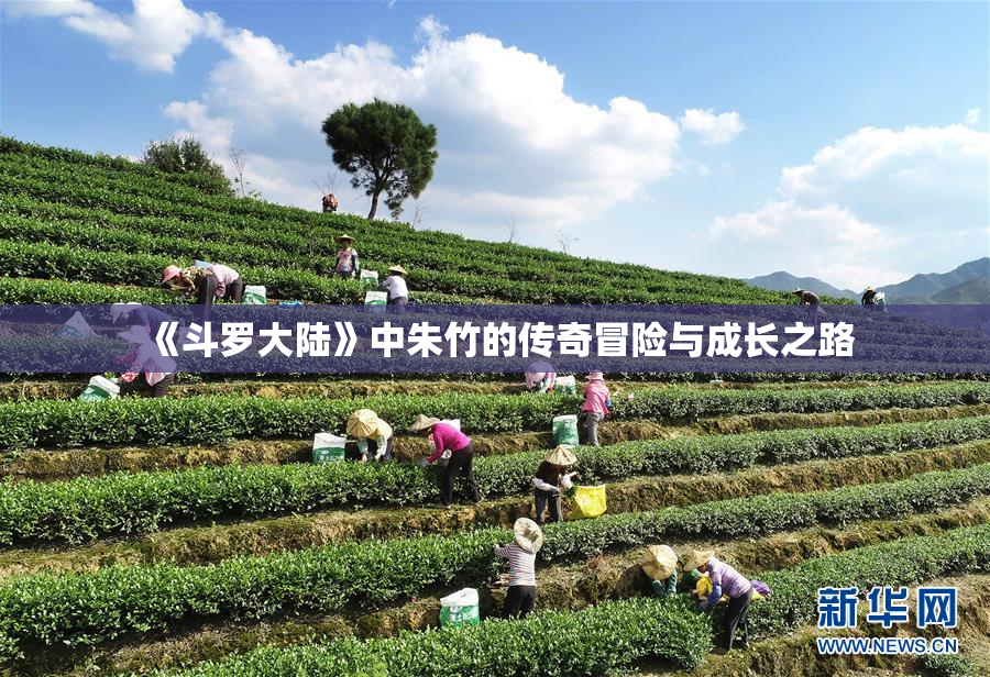 《斗罗大陆》中朱竹的传奇冒险与成长之路