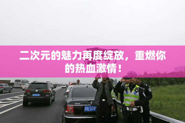 二次元的魅力再度绽放，重燃你的热血激情！