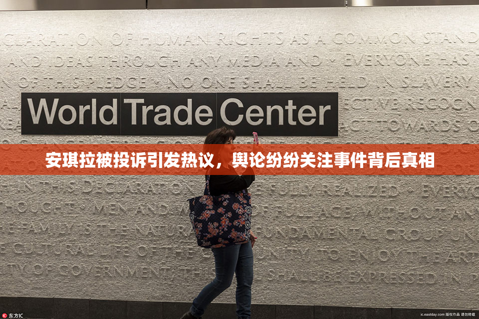 安琪拉被投诉引发热议，舆论纷纷关注事件背后真相